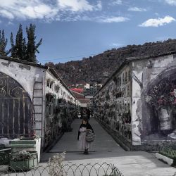 Borondo2